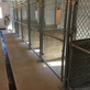 Dismal Creek Kennel in Edgewood, IL Pet Care Services