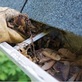 We Clean Gutters in West Allis, WI Home & Garden Products