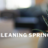 Carpet Cleaning Springfield IL in Springfield, IL 62702 Carpet & Rug Cleaning Automotive