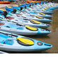 Paddle Marco - Kayak Tours and Rentals in Marco Island, FL Kayaking & Canoeing
