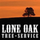 Lone Oak Tree Service in Oakdale, CA Tree Services