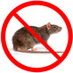 The Original Rodent Proofers in Pacheco, CA Pest Control Services