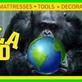 Gorilla World in Chickasha, OK Flooring Consultants
