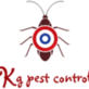 Pest & Termite Control in Jamaica, NY 11413