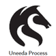 Uneeda Process in Palm Beach Gardens, FL Process Serving Services