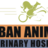 Urban Animal Veterinary Hospital - Houston Heights in Greater Heights - Houston, TX