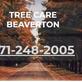 Tree care Beaverton in Central Beaverton - Beaverton, OR Tree Services