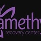 Amethyst Recovery Center in Port Saint Lucie, FL Rehabilitation Centers