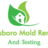 Statesboro Mold Removal and Testing in Statesboro, GA