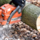 Tree Services in California, MD 20619