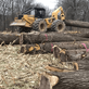 Walnut Timber Buyers in Pekin, IL Environmental Contractors