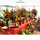Sal the Flower Guy in Napa, CA Florists