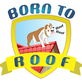 Born to Roof in Louisville, KY Roofing Contractors