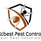 KcBest Pest Control in Independence, MO Pest Control Services