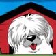 Shaggy Shack Pet Resort & Spa in Spanaway, WA Pet Boarding & Grooming