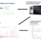 Antibody Sequencing in Central - Boston, MA Biotechnology