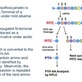 Edman Protein Sequencing in Central - Boston, MA Biotechnology