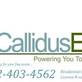 Callidus Electric in Henderson, NV Green - Electricians