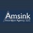 Amsink Insurance in Holland, MI