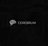 Cerebrum Infotech in Emeryville, CA