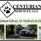 Atlantis Rat Removal in Atlantis, FL Caskets Pets