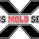 Express Mold Services in Deerfield Beach, FL Mold & Mildew Removal Equipment & Supplies