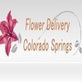 Same Day Flower Delivery Colorado Springs CO - Send Flowers in Southeast Colorado Springs - Colorado Springs, CO Florists