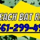 Palm Beach Bat Removal in Palm Beach, FL Caskets Pets