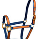 Horse Halter in Fulton, KY Export Horse Equipment