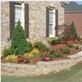 American Landscaping Crew in Alpharetta, GA Landscaping Services
