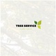 Tree Service Maple Grove in Maple Grove, MN Tree Services