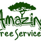 Amazing Tree Services in Dover, NJ Tree Services