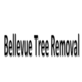Bellevue Tree Removal in Lakemont - Bellevue, WA Exporters Tree Service Equipment & Supplies