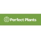Perfect Plants in Lloyd, FL Nurseries - Plants & Garden Accessories