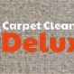 Carpet Cleaning Deluxe of Plantation in Plantation, FL Carpet Cleaning & Repairing