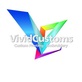 Vivid Customs in Houston, TX