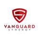 Vanguard Synergy Digital Media Marketing Group in Lisle, IL Internet Services