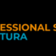 Professional Swimming Pools - Aventura in Aventura, FL