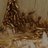 Affordable Termite Control in Orange, CA