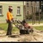 Des Moines Stump Grinding in West Des Moines, IA