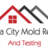 Panama City Mold Removal and Testing in Panama City, FL