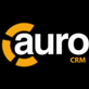Auro CRM in Hicksville, NY Consultants & Services