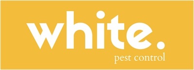 White Pest Control in Wichita, KS Pest Control Services