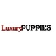 Luxury Puppies in East Meadow, NY Animal & Pet Food & Supplies Manufacturers