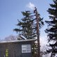 RM Tree Service in Canandaigua, NY Tree Services