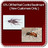 Pest Management Services in Lubbock, TX 79424 Pest Control Services