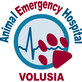 Animal Emergency Hospital Volusia in Ormond Beach, FL Veterinarians