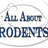 All About Rodents Inc. in Far North - Dallas, TX 75248 Pest Control Equipment & Supplies