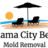 Panama City Beach Mold Removal and Testing in Panama City Beach, FL