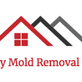 Callaway Mold Removal Experts in Panama City, FL
